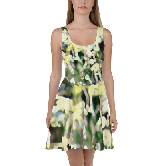 Skater Dress
